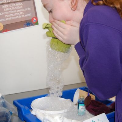 Science Fair (11)